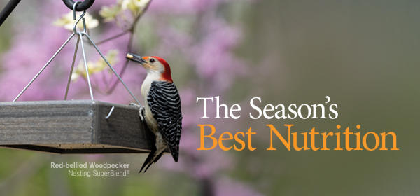 Nesting SuperBlend Seed and Cylinder