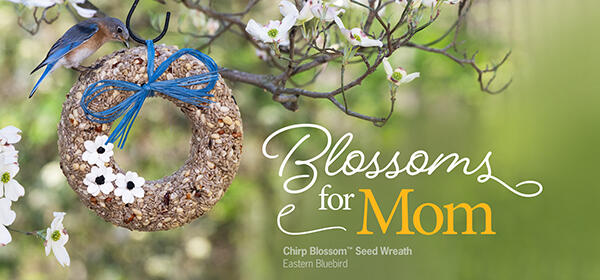 Mother's Day Blossom Collection