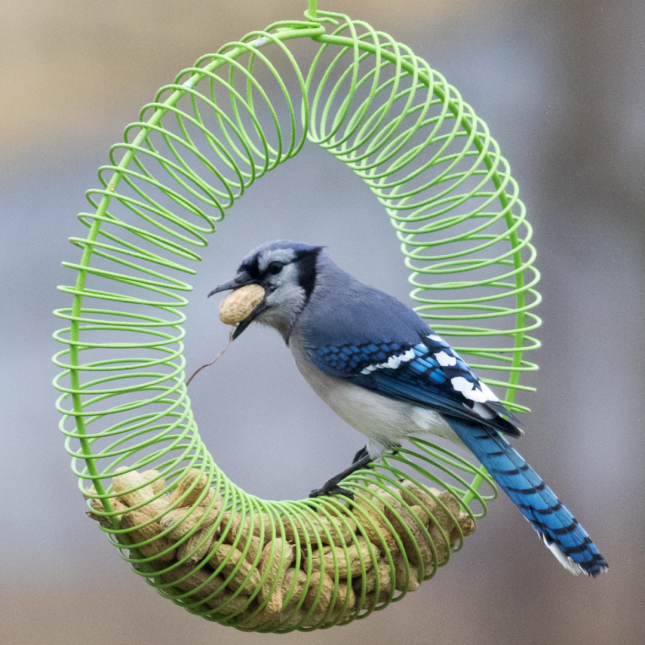 Past winner photo highlight 3