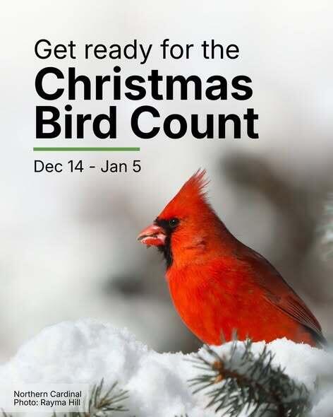 Christmas Bird Count information graphic
