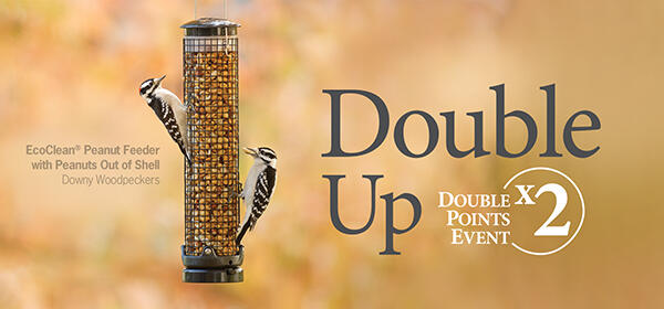 Double Points Event