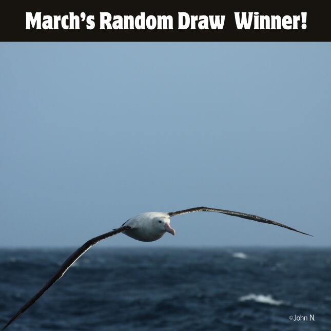 March photo contest winner