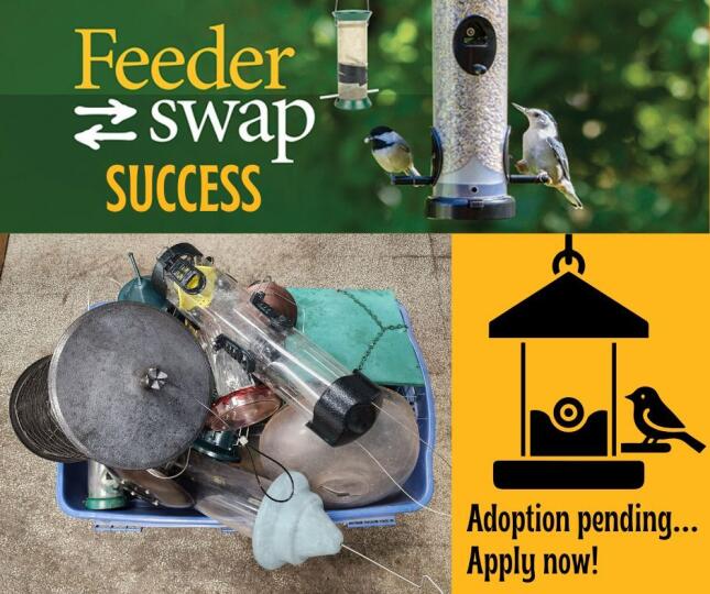 Feeder Swap Success
