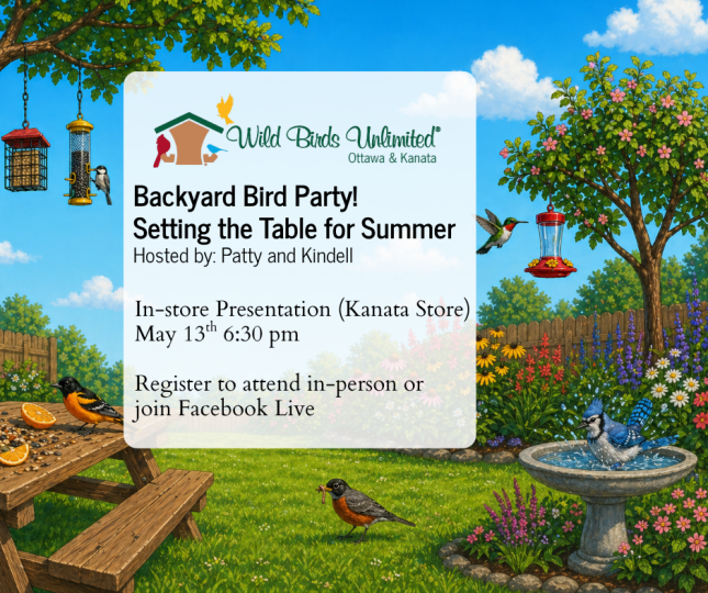 Backyard Bird Party Presentation