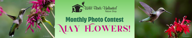 May Flowers Photo Contest