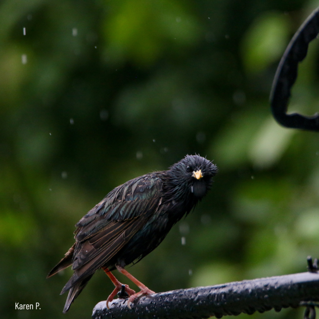 April Photo Contest Winner