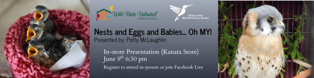 From Nest to Flight Presentation