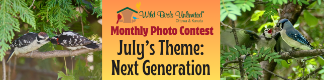 July Next Generation Photo Contest