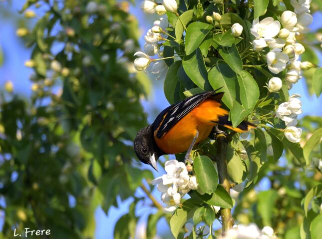 June Photo Contest Winner