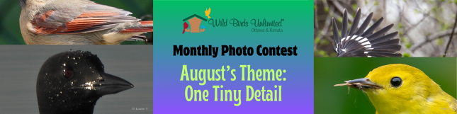August One Tiny Detail Photo Contest
