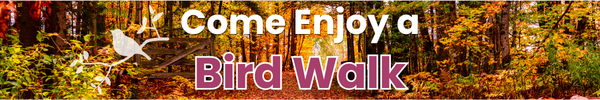 September Bird Walks at Mud Lake
