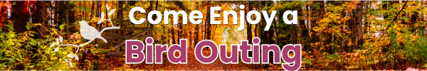 Bird Where You Are: Birdability Week Bird Outings