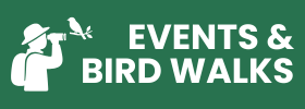 Events & Bird Walks