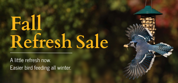 Fall Refresh Sale - A little refresh now. Easier bird feeding all winter.